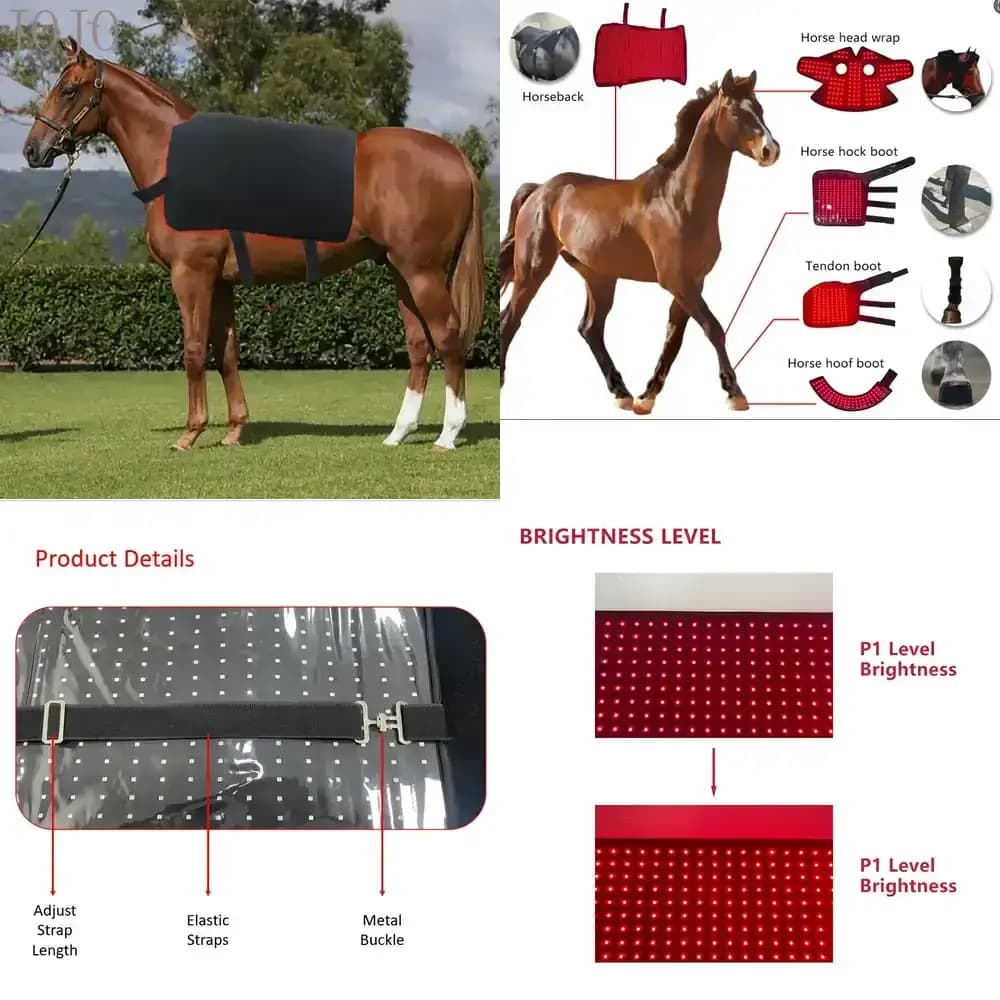 Nuova Coperta Terapeutica a Luce Rossa PDT per la Cura degli Animali, Senza EMF, a Impulsi, Professionale per Equini