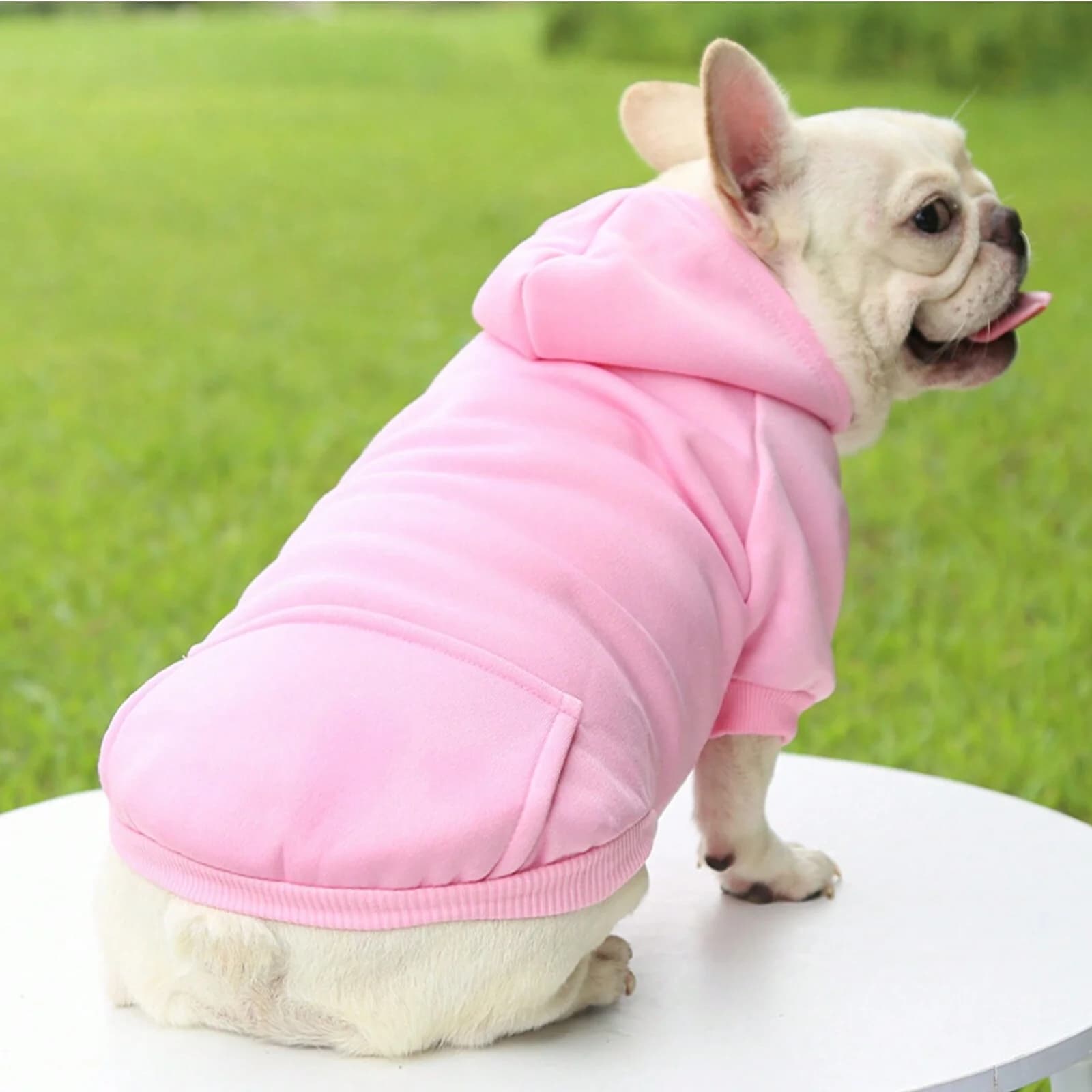 1pc Fashionable dog clothing autumn and winter pet thick hoodie, warm solid color casual hooded hoodie