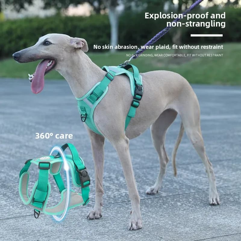Guinzaglio per cani, pettorina anti-rottura, gilet anti-esplosione traspirante, accessori per animali domestici, accessori per cani di piccola taglia