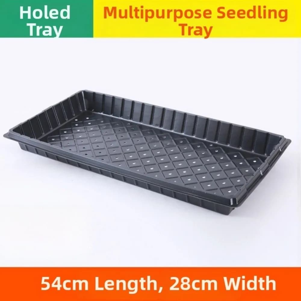 2pcs 54*28cm Seeding Nursery Tray with Holes Succulent Germination Tray Seed Starting Flower Plant Hydroponic Vegetable Tray