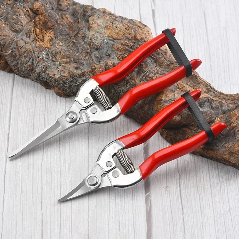 Stainless Steel Potting Scissors, Gardening Scissors, Fruit and Grape Harvest Scissors, Garden Brakes