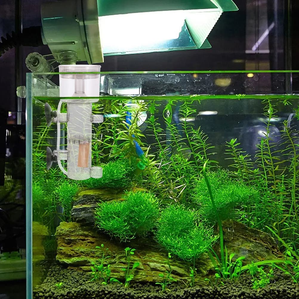 2 Pezzi Pietra per Ossigenazione Acquario, Diffusore in Legno per Skimmer Proteico, per Acqua Dolce e Salata