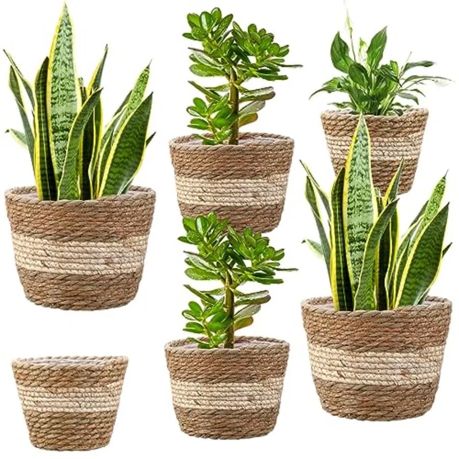 6 Pcs Seagrass Planter Basket Flower Pots Cover Plant Baskets Hand Woven Plant Basket Storage Containers with Plastic Liners fo