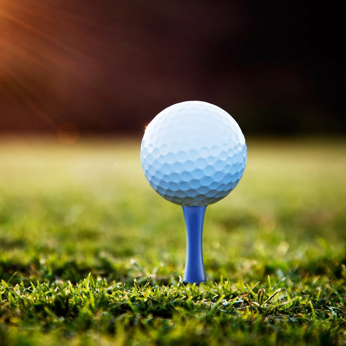 Set di 40 Tee da Golf in Plastica, 4 Misure, Leggeri e Resistenti, Colori Vivaci, Strumenti per Allenamento sul Driving Range