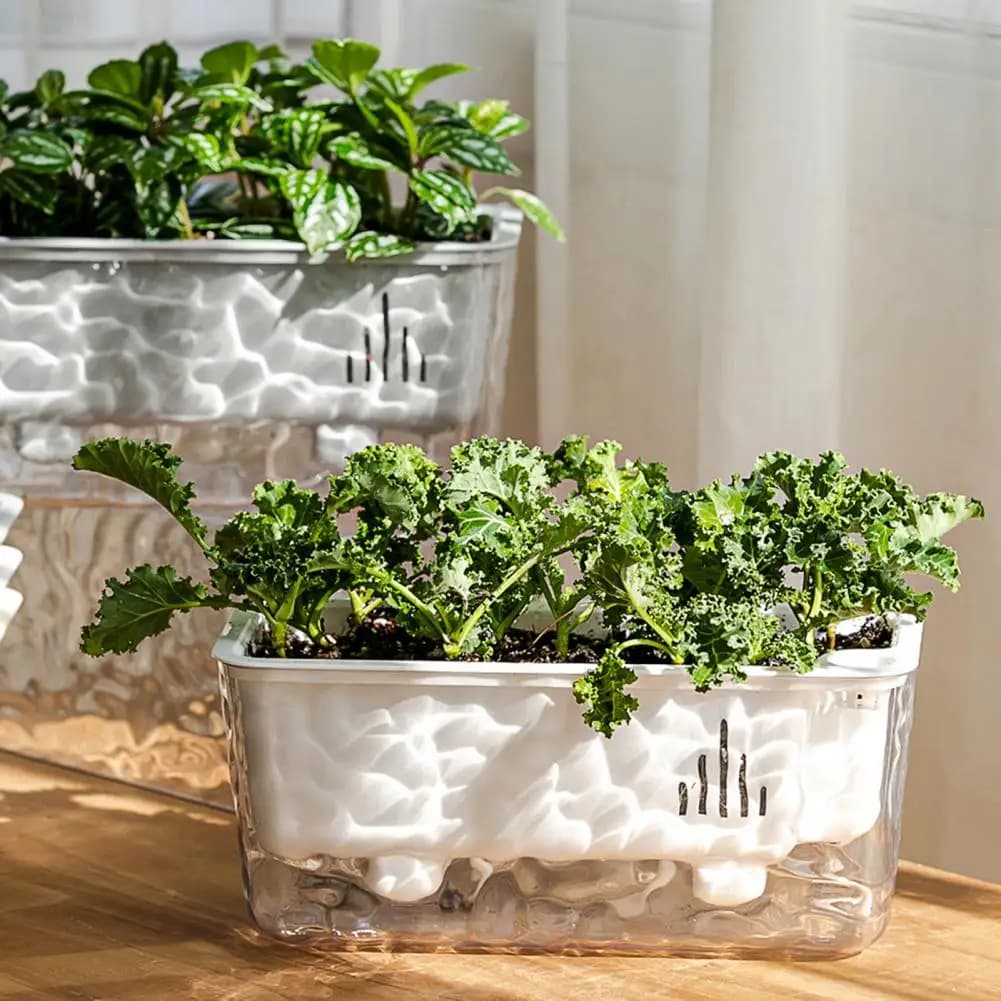 Self-watering Flowerpot Transparent Self Watering Pot with Drainage Hole Reservoir Indoor Outdoor Planter Herb Flower Planting