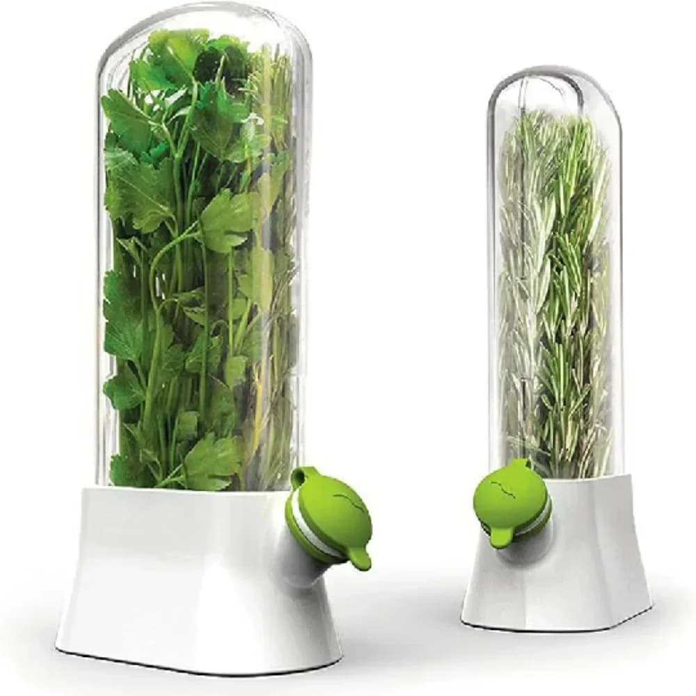 Contenitore per la conservazione delle erbe, contenitore per la conservazione delle verdure, contenitore per erbe fresche, per la conservazione della cucina, Cilantro, menta, prezzemolo, asparagi