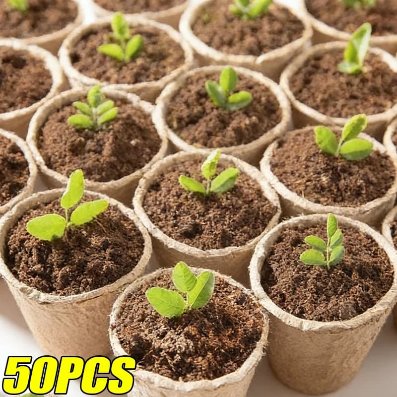50/10 Biodegradable Vase Parts in Polpa per Semenzai con Fori di Drenaggio, Vasi da Vivaio per Piante da Giardino e Fiori, Trassoi per Germination dei Semi