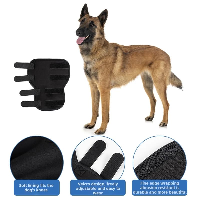 1 Pezzo Fascia di Supporto per Articolazione della Caviglia, Protezione per Zampe di Cani, per Prevenire Masticazione e Leccamento, per Recupero da Distorsioni al Ginocchio