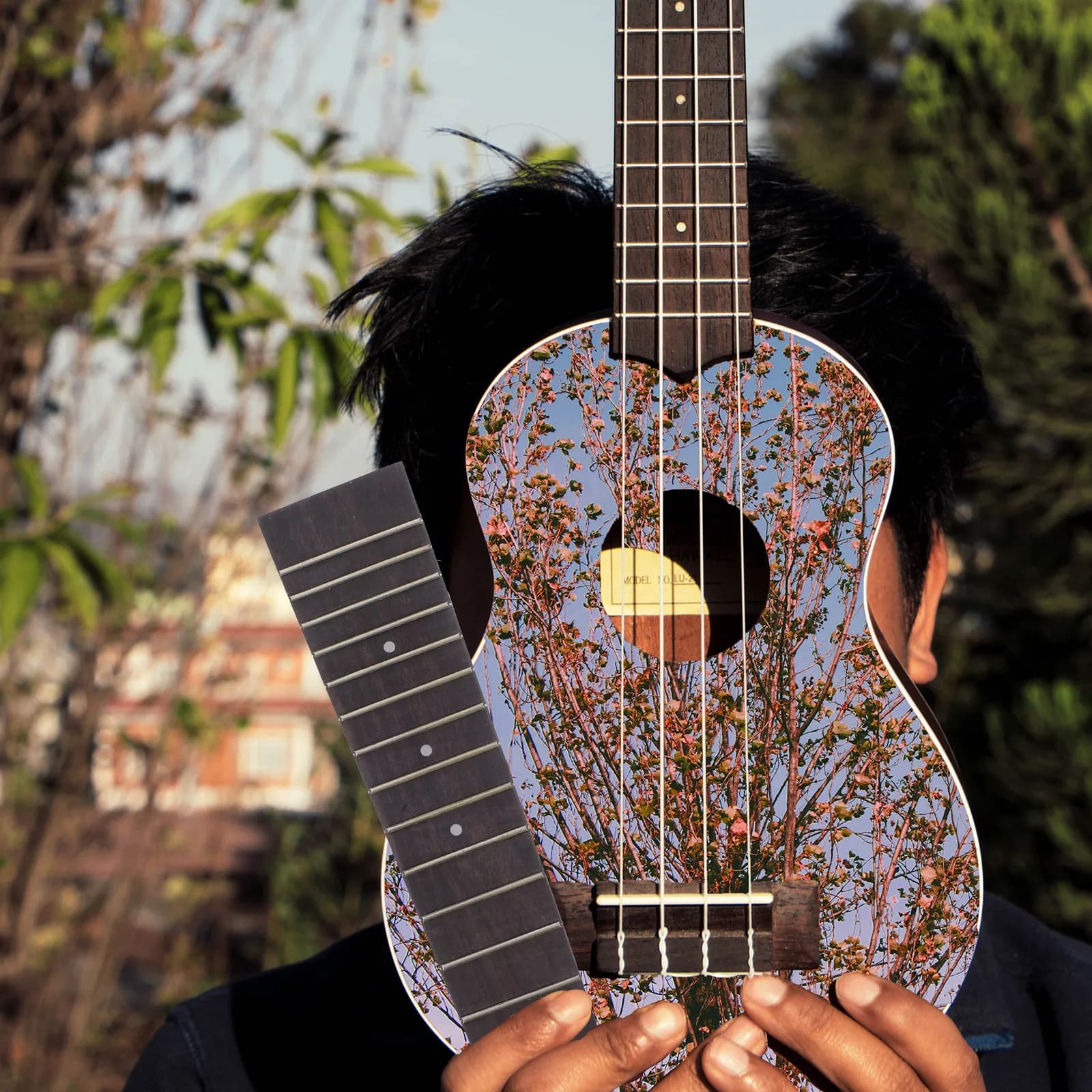 Tastiera per Ukulele in Palissandro, 13 Tasti, per Ukulele Soprano e Concerto da 17 e 21 Pollici, Accessori per Chitarra Hawaiana