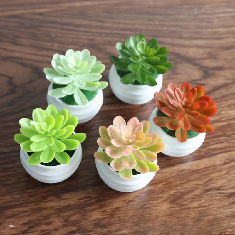 Piante bonsai succulente artificiali Simulazione piante grasse Mini bonsai sempreverde Cactus piante grasse in plastica piante finte Decor