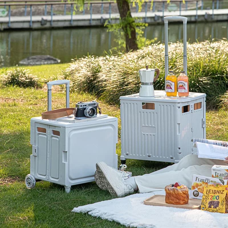Scatola di immagazzinaggio esterna Piccolo carrello Carrello della spesa pieghevole portatile leggero per uso domestico Carrello per la casa Carrello Express