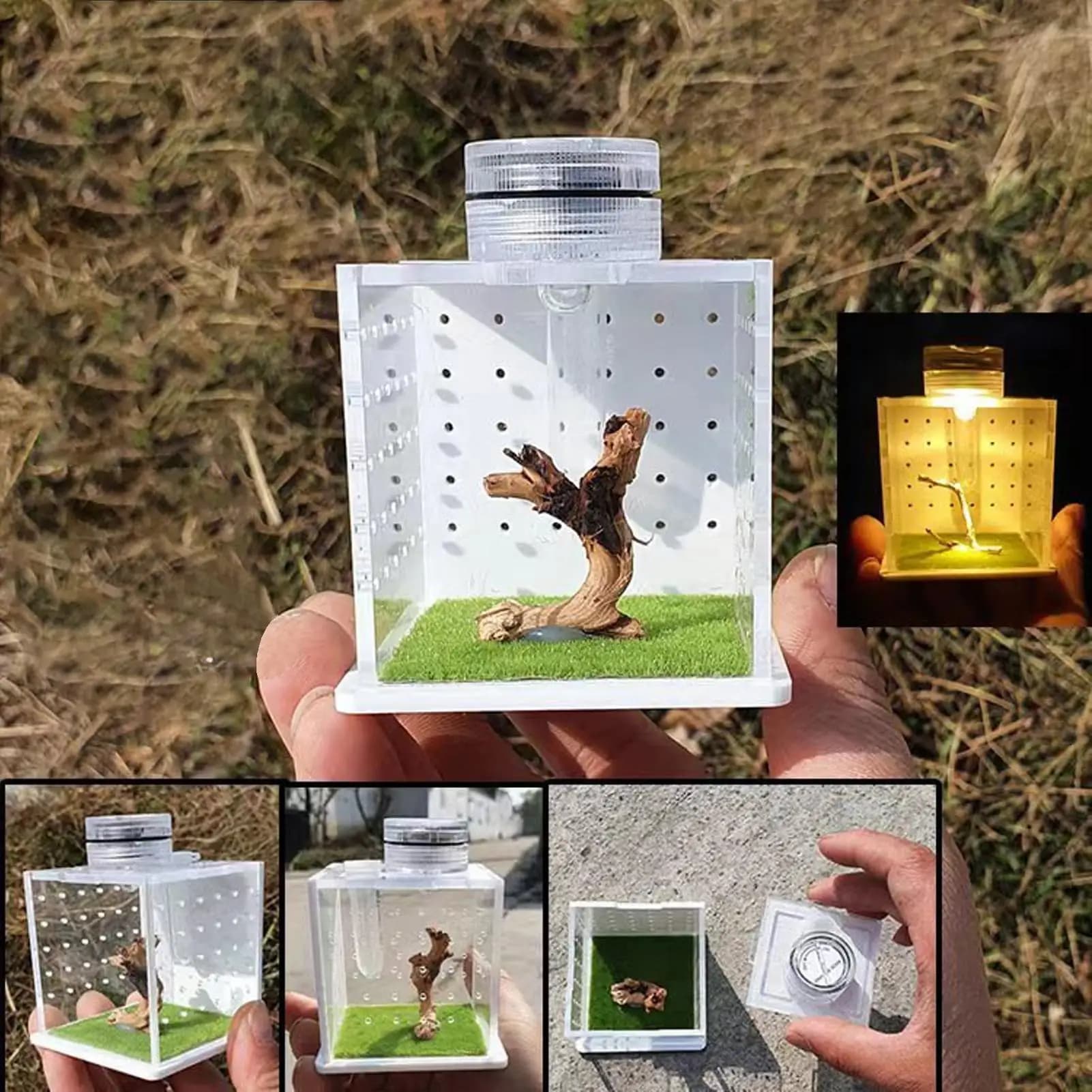 Jumping Spider Terrarium Clear Frog Tank Cage Feeding Breeding Box With Light Humidifier Reptile Enclosure Tank For Small Tree