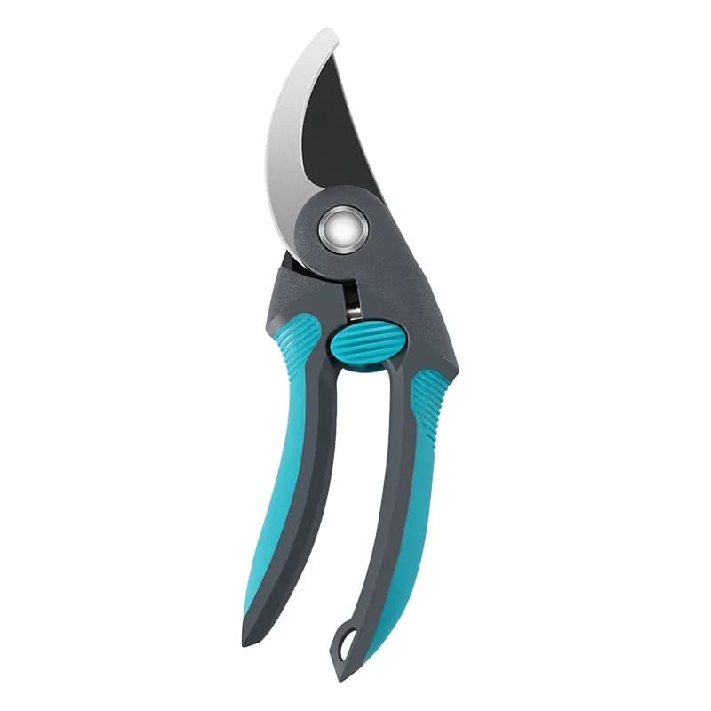 Pruning fruit trees, scissors, horticultural tree branches, garden florists, bonsai scissors in stock