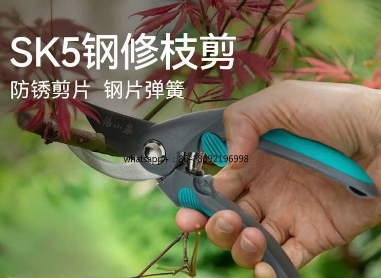 Forbici da Potatura per Giardinaggio, Cesoie per Fiori, Rami e Alberi da Frutto, Attrezzi Speciali per Potatura Domestica e Professionale