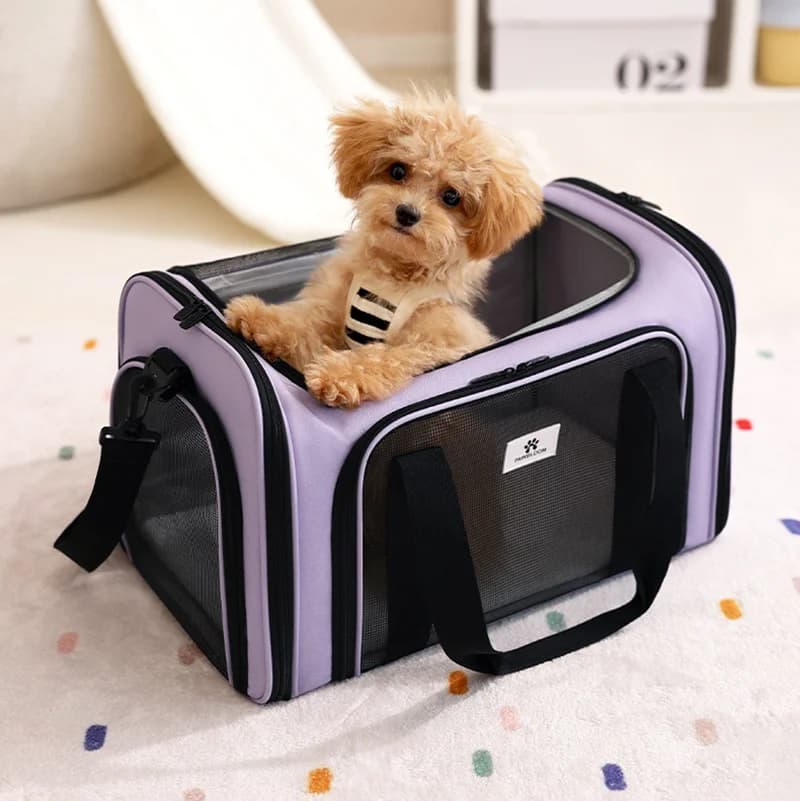 Nuovo zaino per gatti - Borsa per animali traspirante con ampio spazio, borsa da viaggio portatile per cani Borsa portatile per animali domestici per auto o all'aperto