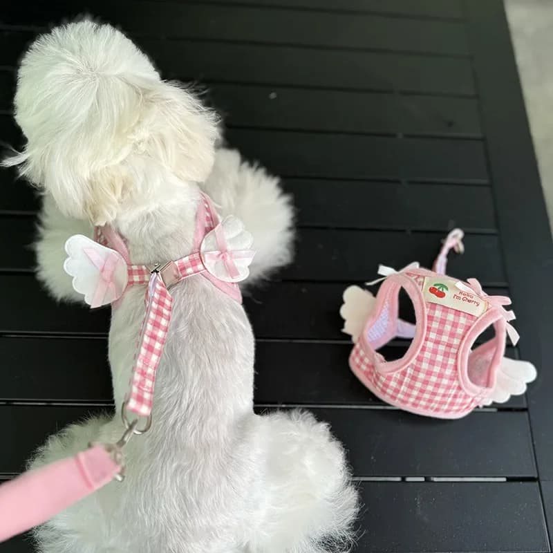 Collare per imbracatura per cani gatto modello fragola traspirante Fuga Pettorina per ali Guinzaglio Set Gattino Cucciolo Chihuahua Gilet pettorale carino