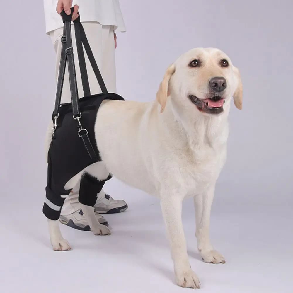 Imbracatura di Supporto per Cani con Sollevamento per Zampe e Fianchi, Nera, Regolabile, Strumento di Assistenza per Animali Domestici, con Maniglia Robusta e Cinghie Traspiranti per il Supporto alla Camminata