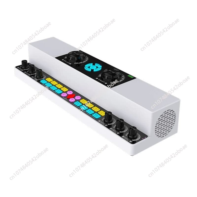 Scheda audio per canto dal vivo Macchina audio all-in-one Karaoke per interni ed esterni Altoparlante Bluetooth wireless