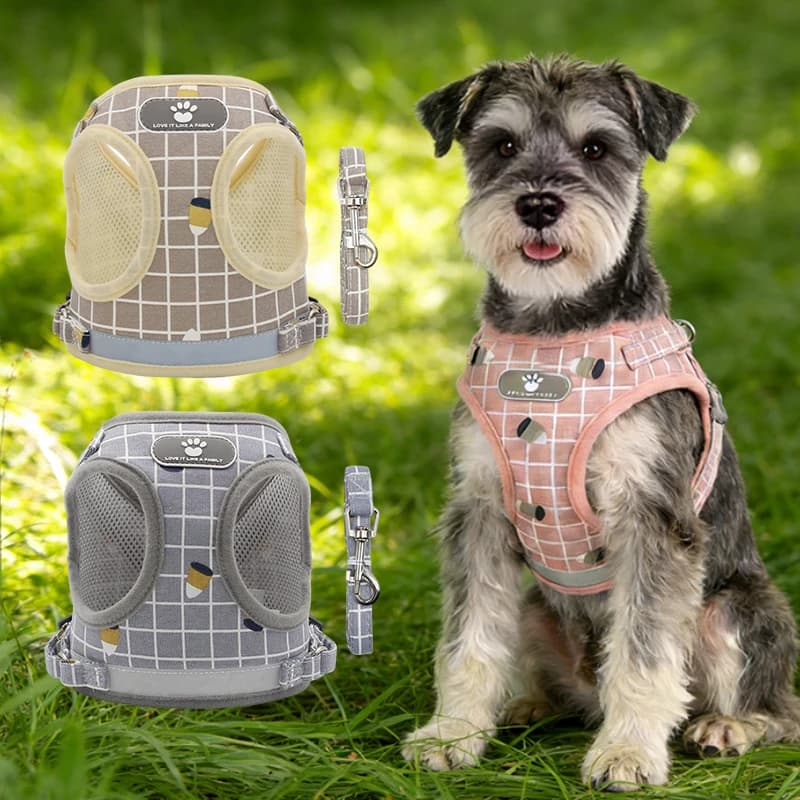 Pettorina per Cani in Rete Traspirante a Quadri, Riflettente, per Cani Piccoli e Medi, Include Guinzaglio, Pettorina per Gatti