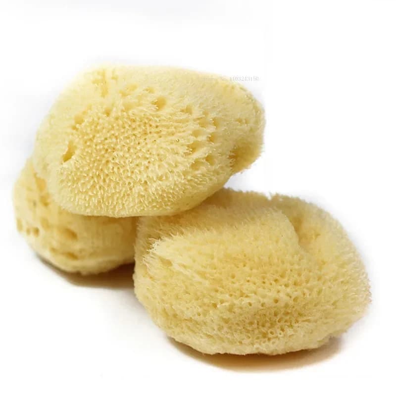 Pittura ad acquerello in spugna greca naturale con spugna assorbente Penna per pulire Pittura Strumento di pulizia per la produzione di texture speciale
