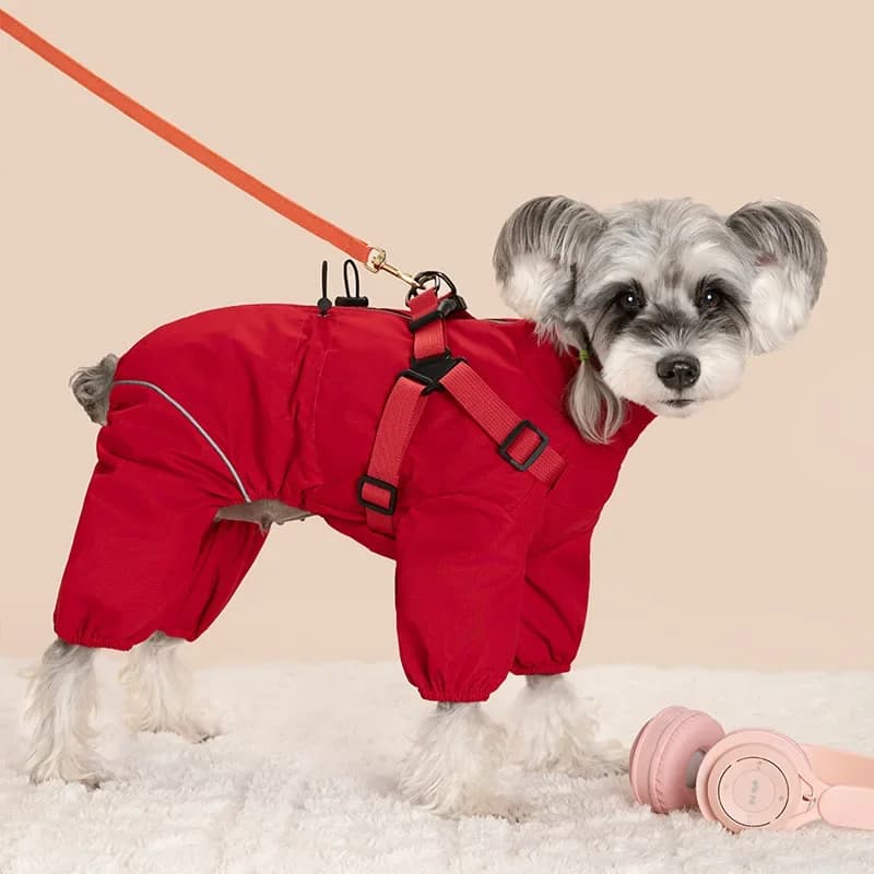 Pagliaccetto per cani con imbracatura: copertura totale antivento caldo per passeggiate sicure