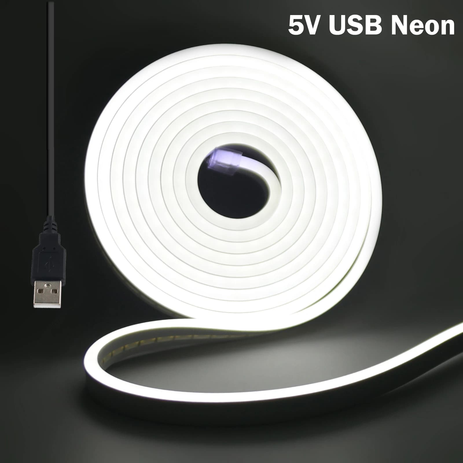 Striscia LED al neon USB 5V 2835 120LED/m Lampada flessibile impermeabile Nastro USB al neon Bianco Rosso Verde Ghiaccio Blu Rosa Giallo per la decorazione domestica