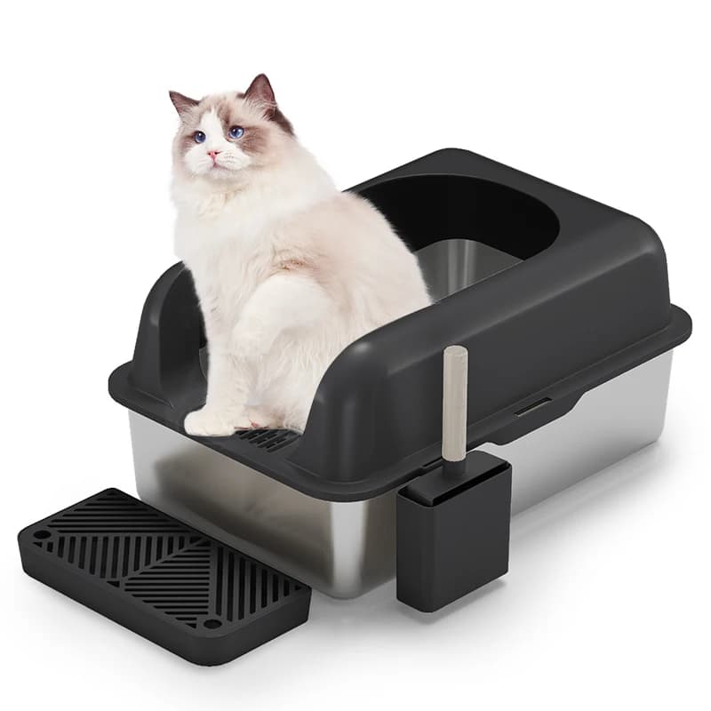 Miglior Lettiera per Gatti XXL, Toilette per Gatti