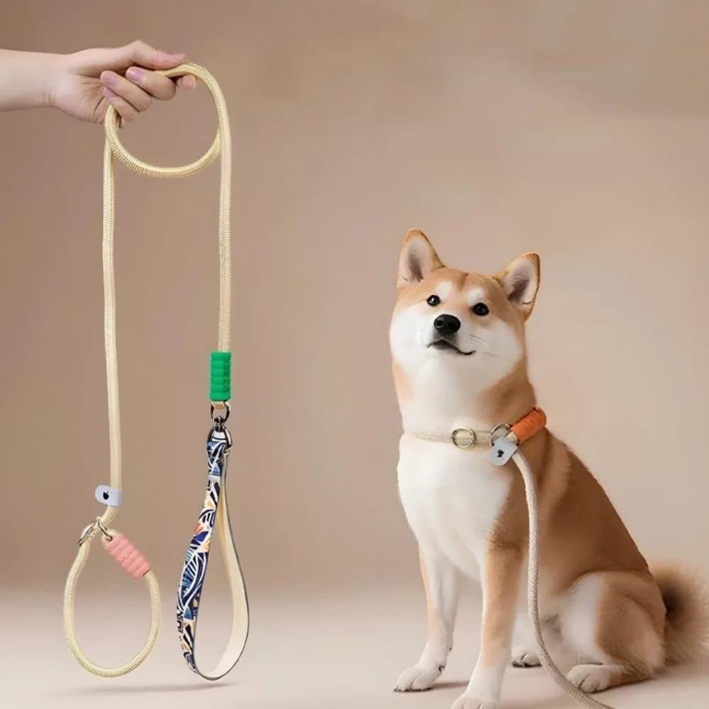 Guinzaglio per Cani Resistente in Nylon, Anti-Fuga, Anti-Trazione, per Passeggiate all'Aperto