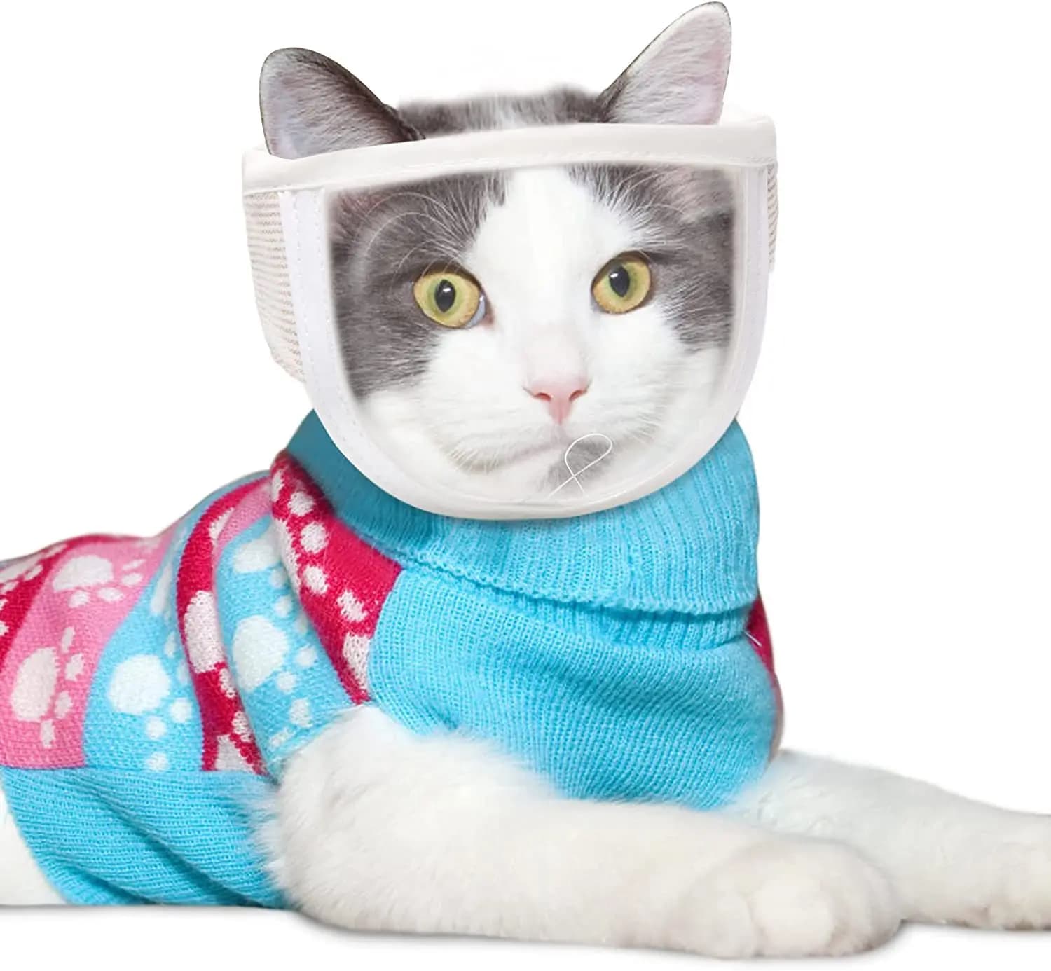 Accessori per Animali Domestici, Copricapo Traspirante per Gatti, Copricapo Trasparente per Gatti, Maschera Anti-Morso e Anti-Graffio per Cani e Gatti