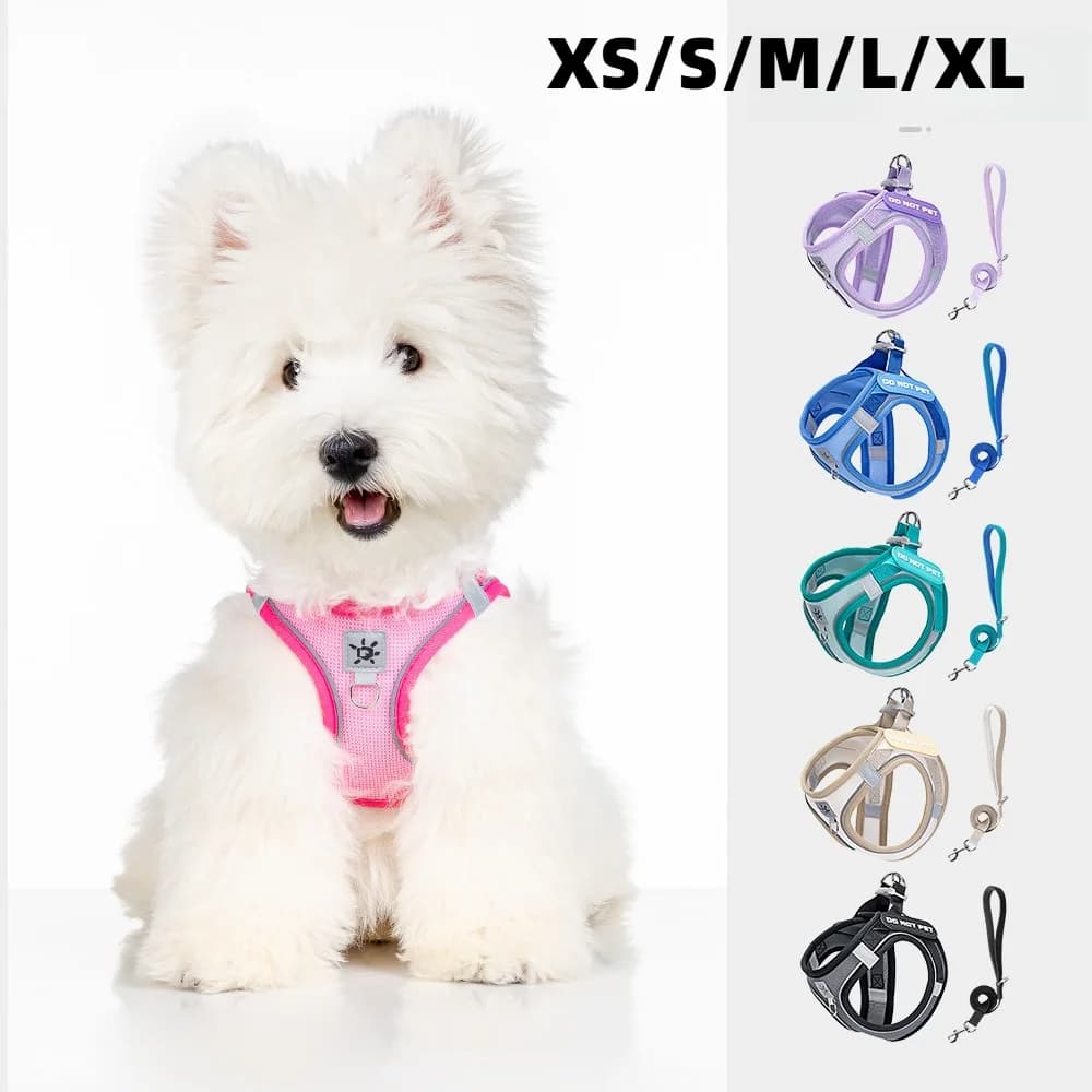 Dog Harness and Leash Set, Reflective Breathable Vest for Small Medium Large Dogs, 360° High Visibility Safety Harness