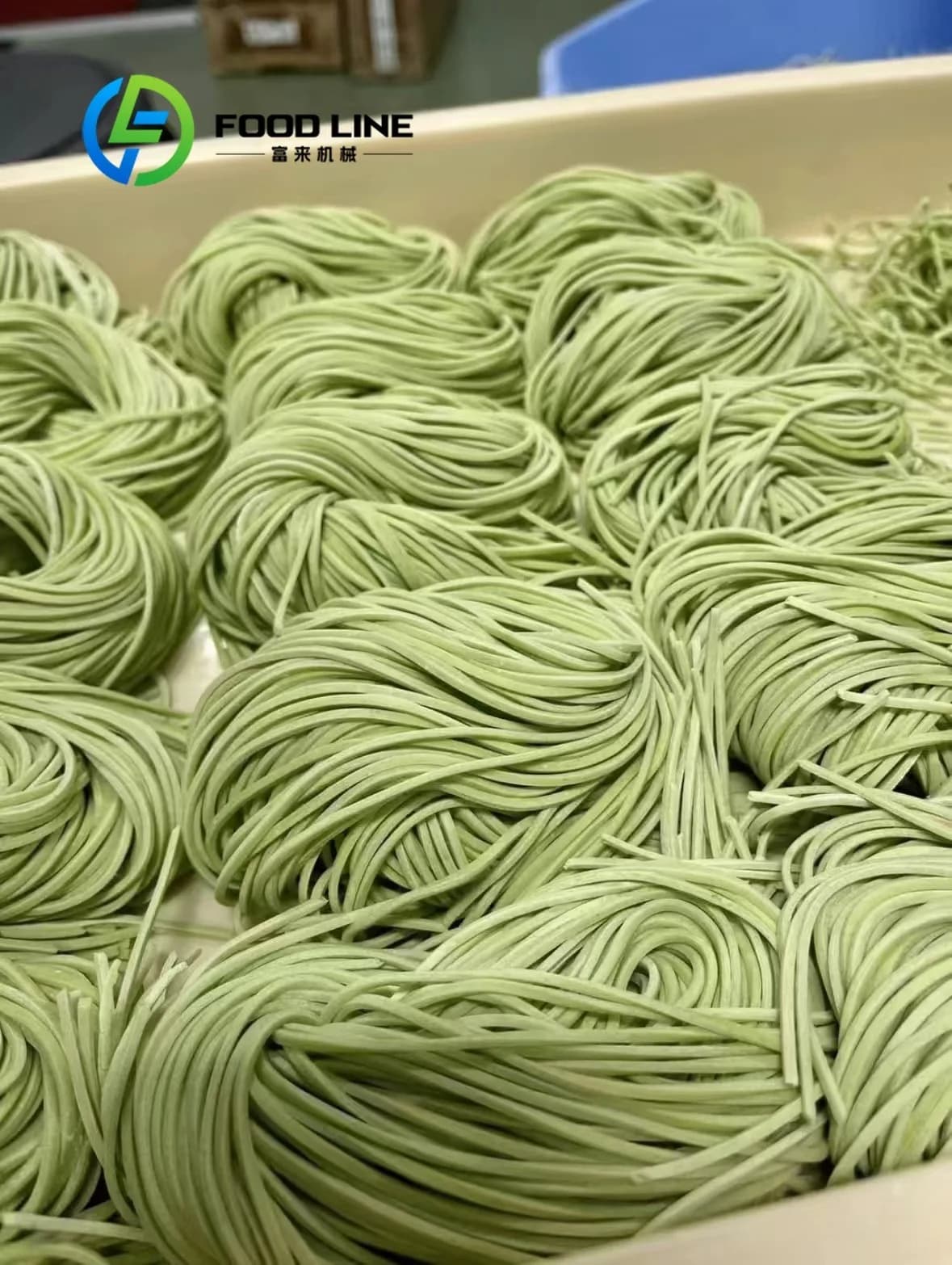 Macchina per pasta automatica commerciale, macchina per ramen, macchina per fare noodle rotondi, macchina per fare noodle freschi