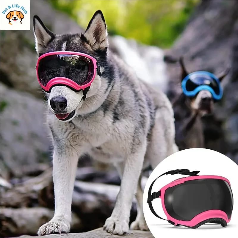 Adjustable Dog Goggles Anti-UV & Wind Dust Proof Strong Impact Resistance Breathable Pet Sunglasses for Small Large Breed Dogs