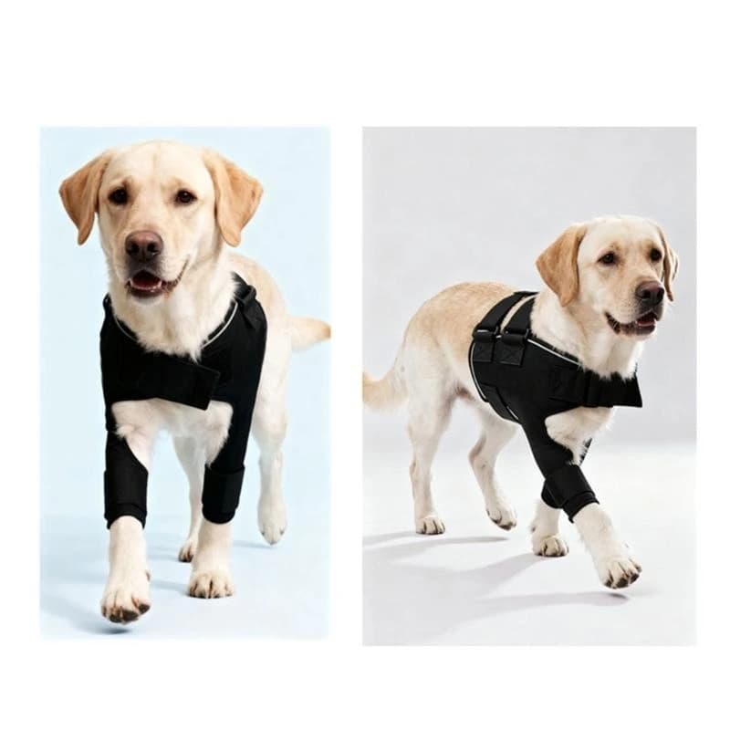 Comodo aiuto congiunto per il supporto della spalla del cane per cani anziani con design ventilato e chiusure semplici che