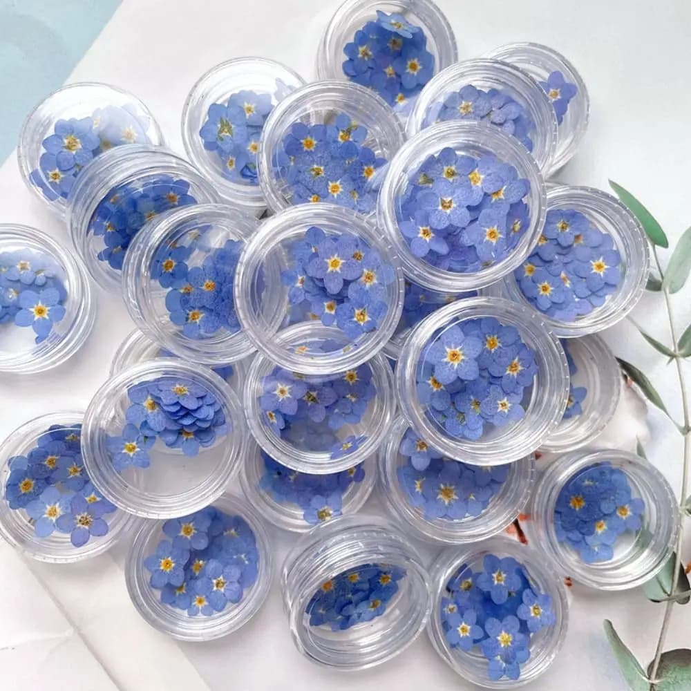 Nail Art Jewelry Card Candle Making Forget-Me-Not Dried Flowers Don't Forget Me Pressed Flower