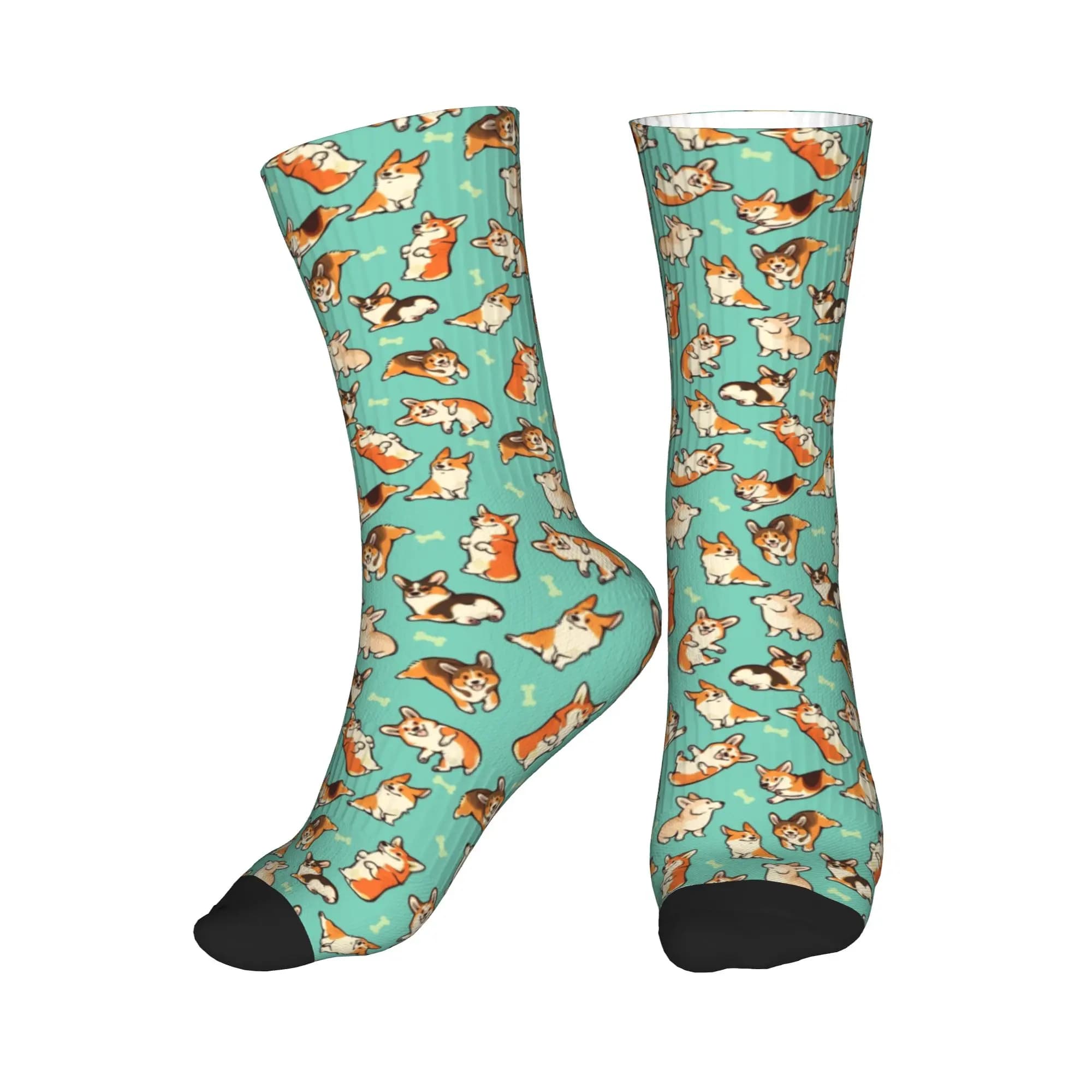 Calzini divertenti con stampa Jolly Corgis per donna e uomo, calzini elasticizzati per l'estate, l'autunno e l'inverno