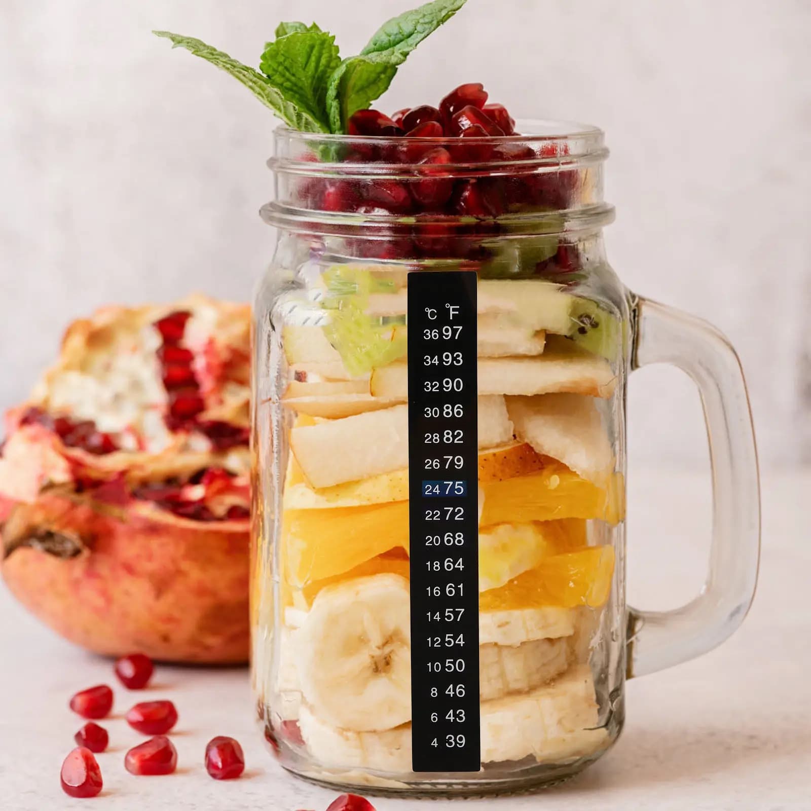 10 Pezzi Strisce Termometriche Adesive per Fermentazione Domestica di Vino, Birra, Lievito, Acquari e Barattoli - Celsius Fahrenheit