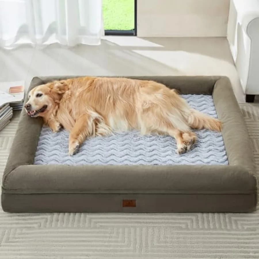 Cuccia XL Extra Large per Cani, Divano Lavabile con Rivestimento Impermeabile Rimovibile, Letto Ortopedico Grande per Animali Domestici con Lati Rinforzati