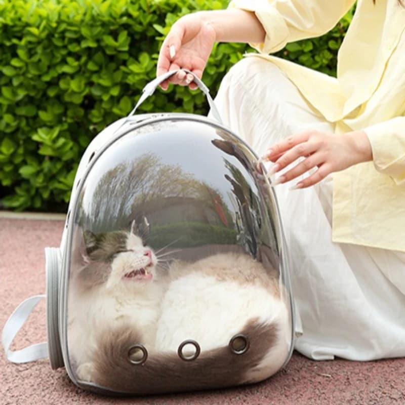 Borsa per Gatti MH40MB - Trasportino Zaino in PVC per Gatti, Accessori e Forniture per Animali Domestici da Esterno