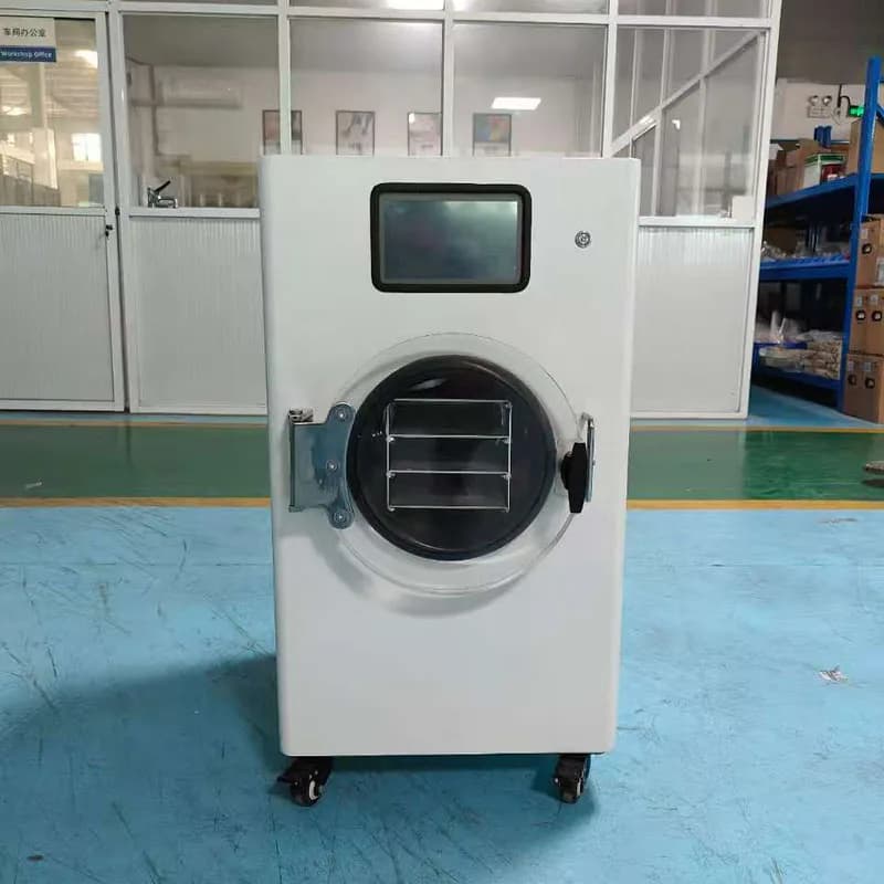 Liofilizzatore solare industriale Macchina 220V Essiccazione di frutta e verdura Componenti principali PLC per frutta secca e frutta