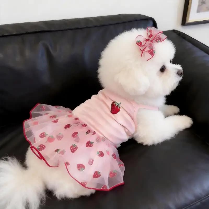XS-XL Sleeveless Dog Dress with Strawberry Design Perfect for Summer Walks and Outings