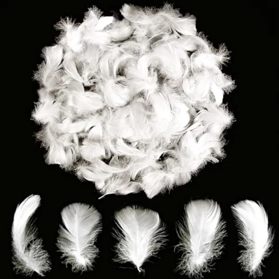 Lamar 300Pcs 2-3'' White Feathers Bulk for Crafting, Dream Catcher Accessories, Art Projects, DIY Crafting, Handi Crafts, Party