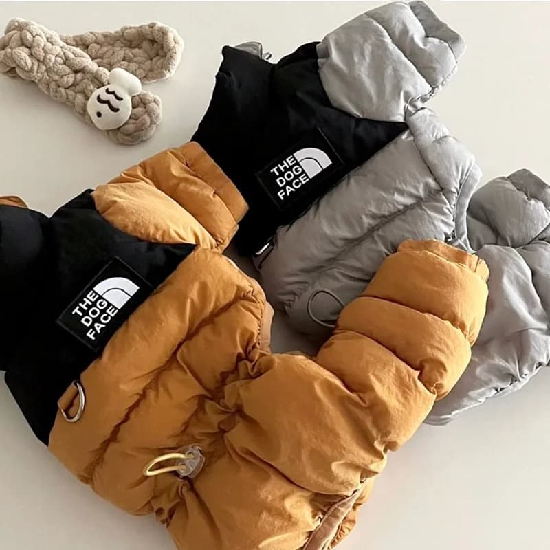 Cappotto in cotone Teddy a quattro zampe per cani di piccola taglia, abbigliamento invernale, giacca calda in piumino per barboncini, tuta ispessita, vestiti per cani