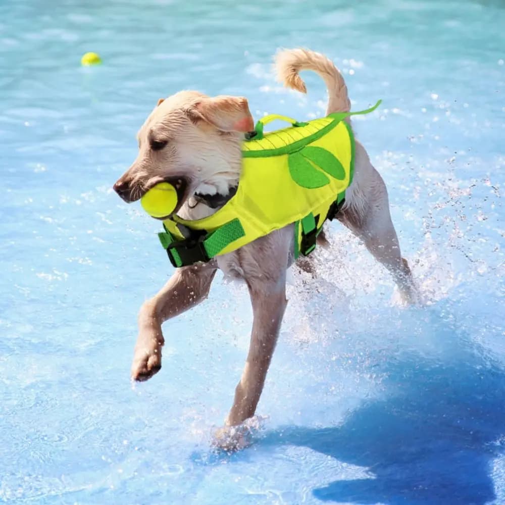 Cat Life Vest Little Bee Pet Dog Life Jacket Soft Breathable Dog Swimming Clothes Adjustable Pet Life Vest Harness Summer