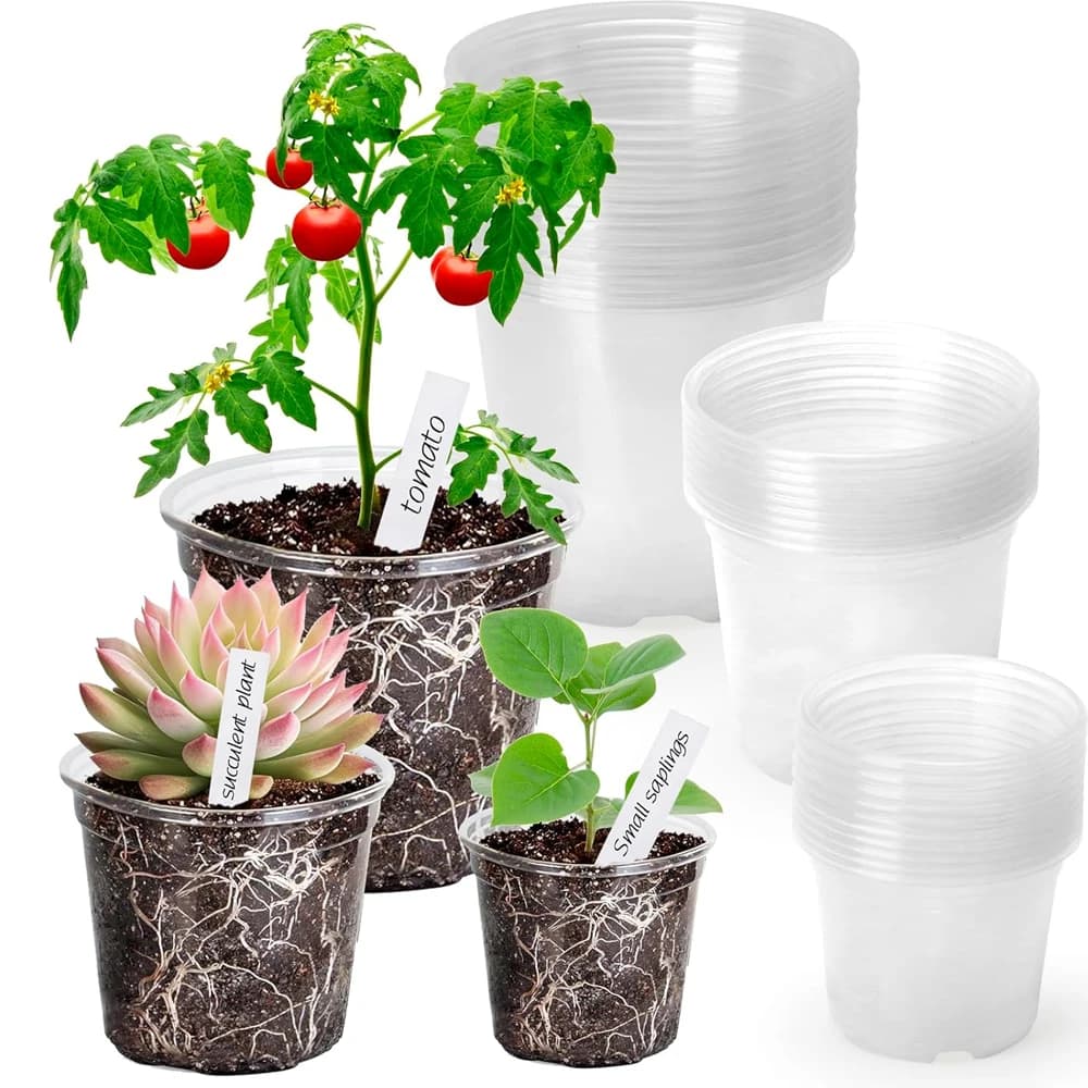 Transparent nursery vases reinforced with drainage hole, transparent variety packaging Plastic plant jar Flower seed plant
