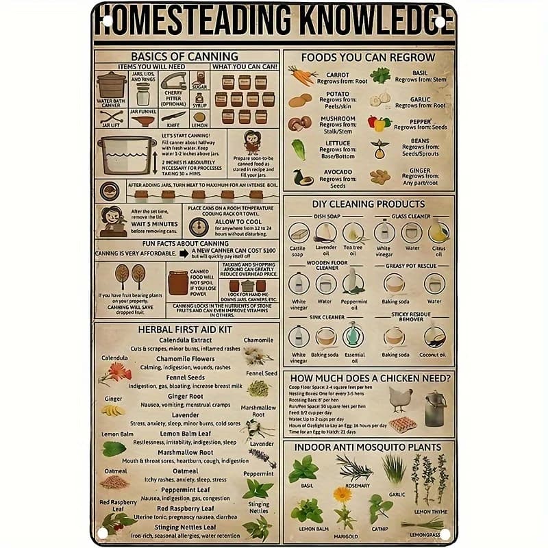 1pc Homestead Knowledge Metal aluminium Sign Poster Herbal Kit di pronto soccorso e nozioni di base di inscatolamento School Farm People Cave Cafe Bar