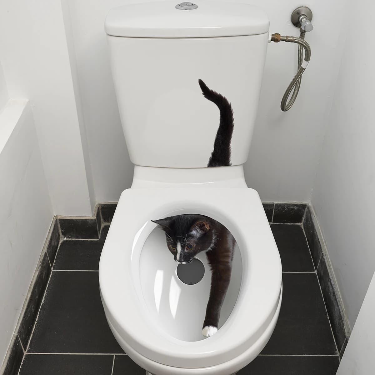 1PC adesivi murali per WC con gattino impertinente adesivi murali per decorazione bagno autoadesivi