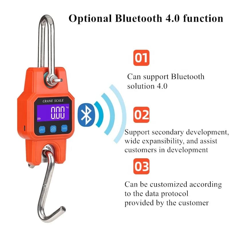 Bilancia a Gancio Bluetooth 300kg/50g, Bilancia Industriale per Gru, Bilancia Elettronica per Peso, Bilancia per Bagagli e Pesca