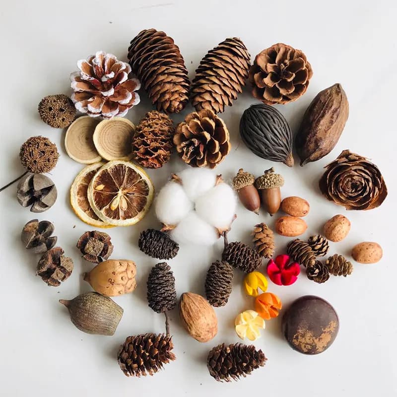 Natural Dried Pinecones Leaves Fruit Set, Rustic Natural Style, for DIY Ornaments Home Desktop Room Decor Photography Props