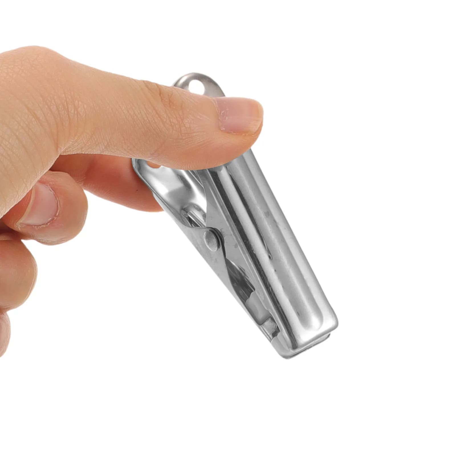 10 Pezzi Mollette per Bucato in Acciaio Inox Resistenti al Vento per Lenzuola, Asciugamani, Trapunte, Uso Esterno