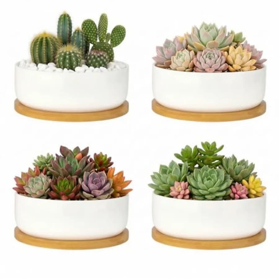 Set di 6 Vasi per Piante Succulente con Sottovaso e Vassoio, Fioriere in Ceramica Bianca per Piante da Porta, Vasi Rotondi per Fiori